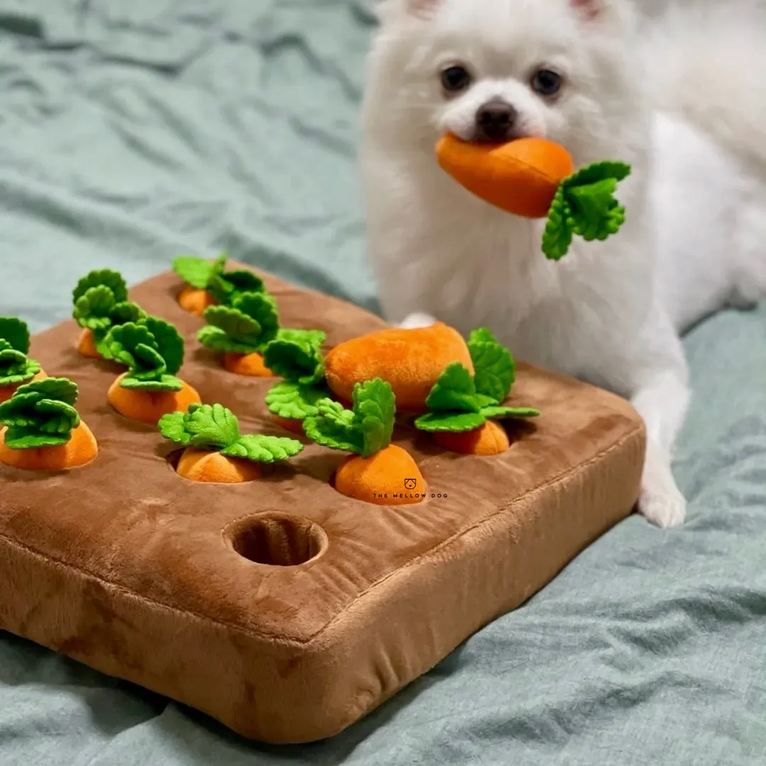 Pawtato Carrot Patch nosaktivering morotsland hundleksak dragkamp