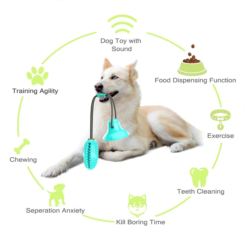 Pawtato Treat Dispensing boll hundleksak med rep