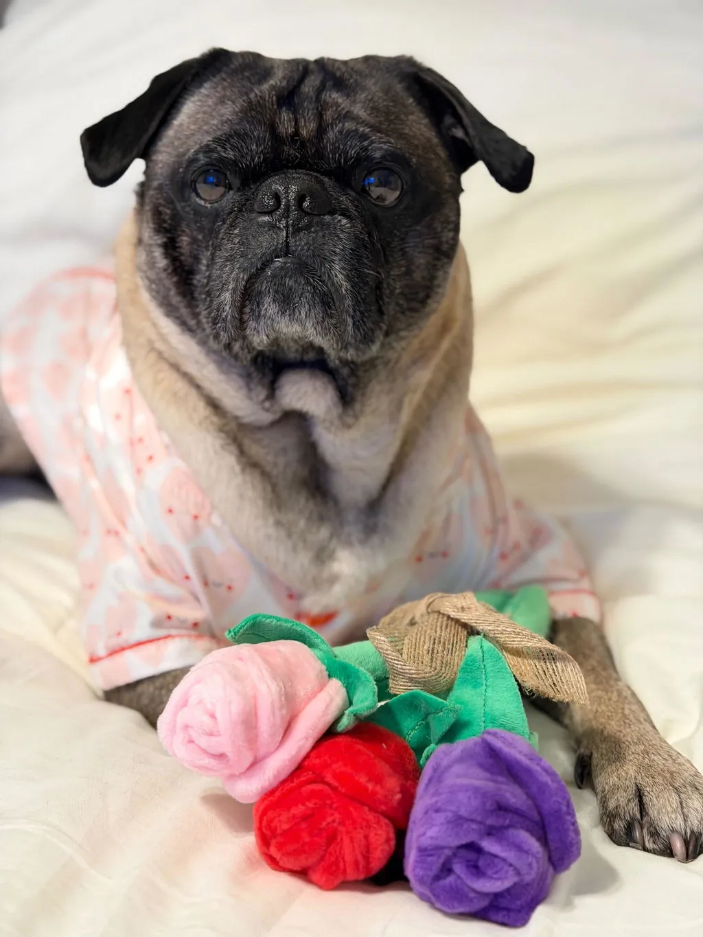 P.L.A.Y. Puppy Love Barking Bubbly hundleksak med pip