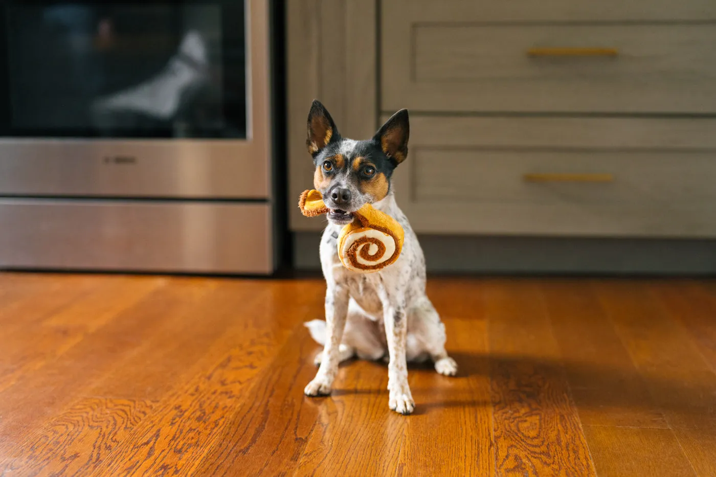P.L.A.Y. Pup Cup Café Cinna-bone hundleksak med prassel