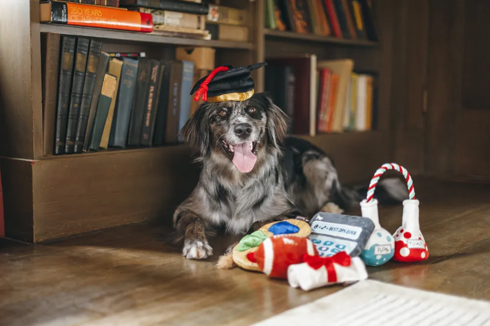 P.L.A.Y. Back to School hundleksaksset mjuk med pip