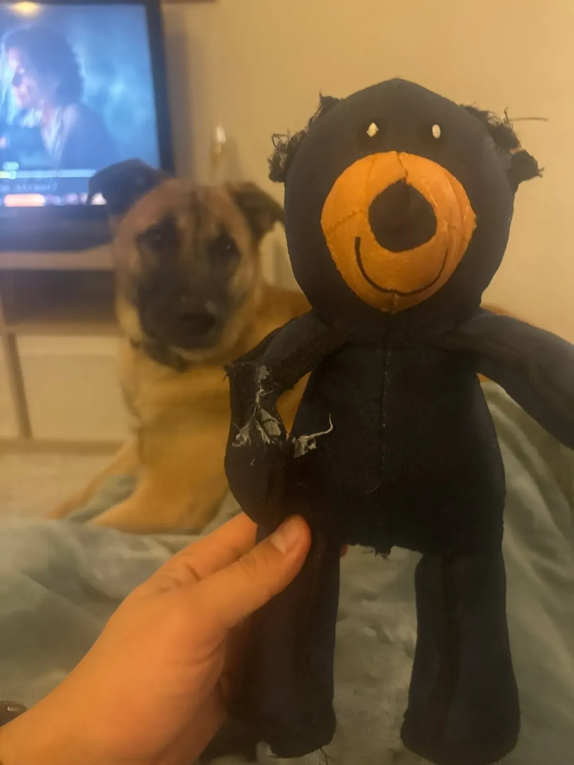 Pawtato Bear mjuk hundleksak med pip