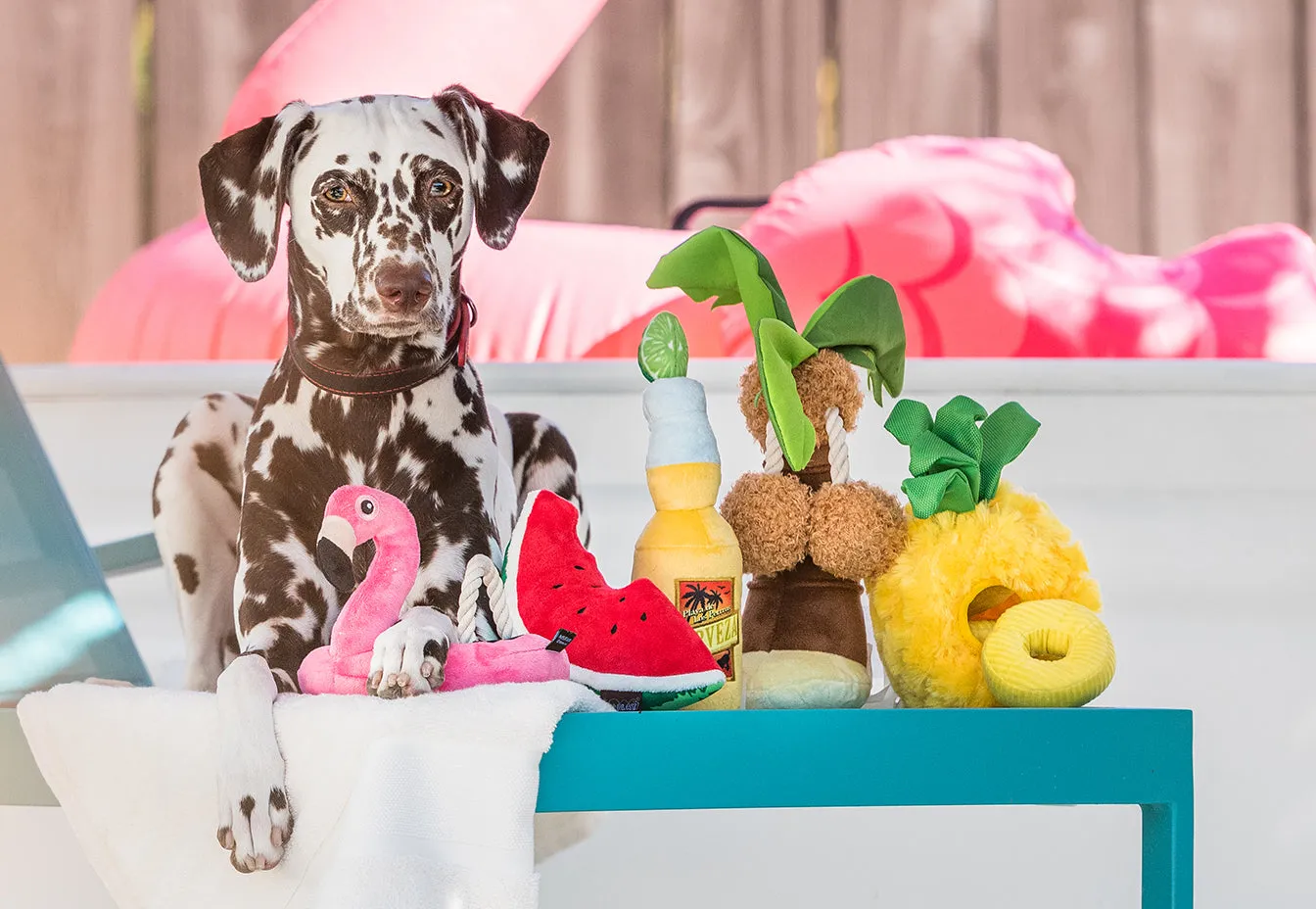 P.L.A.Y. Tropical Paradise Collection hundleksak set 5-pack