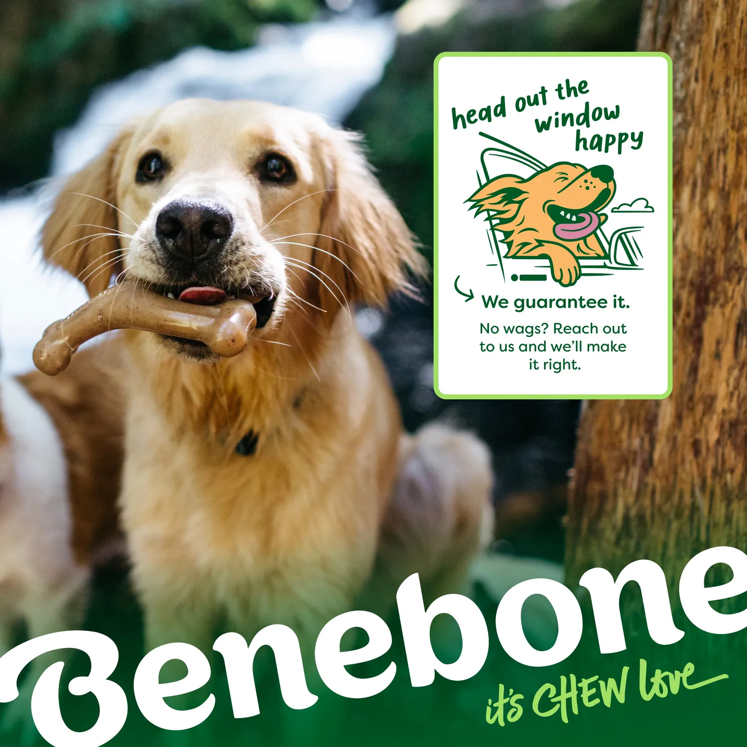 Benebone Limited Edition Venison Chew Collection tuggben 4-pack hjort