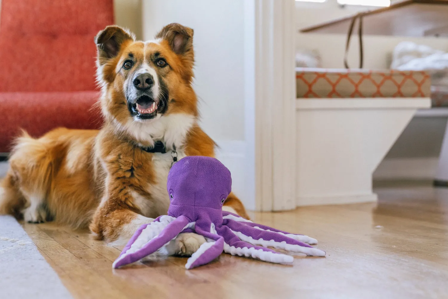 P.L.A.Y. Ocean Buddies Opal the Octopus hundleksak rosa