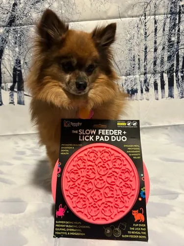 Spunky Pup Slow Feeder slickmatta rosa skål