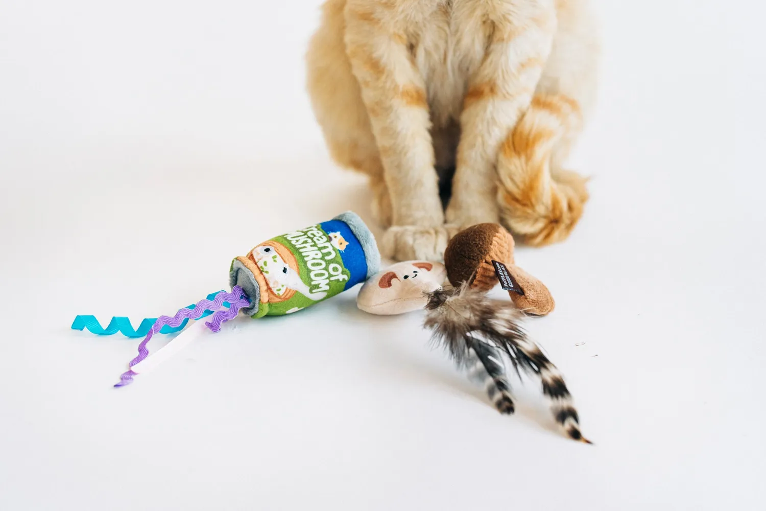 P.L.A.Y. Feline Frenzy Purrfectly Fungi kattleksak svamp