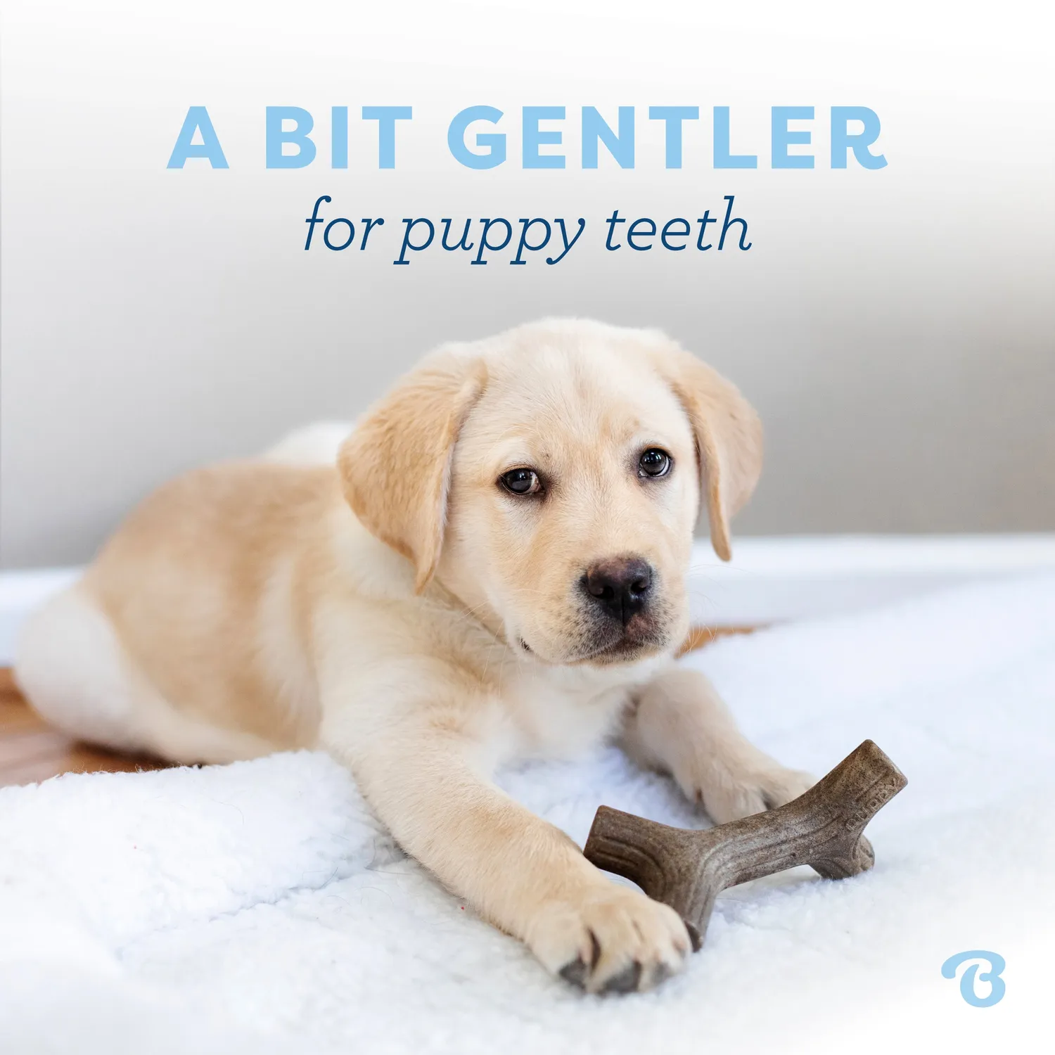 Benebone Puppy Zaggler tuggleksak tiny bacon