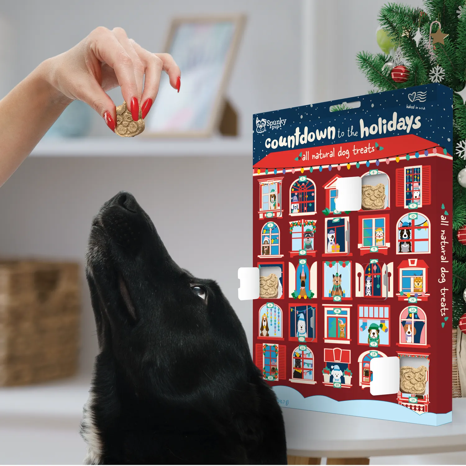 Spunky Pup Holiday adventskalender hund 25 luckor jordnöt