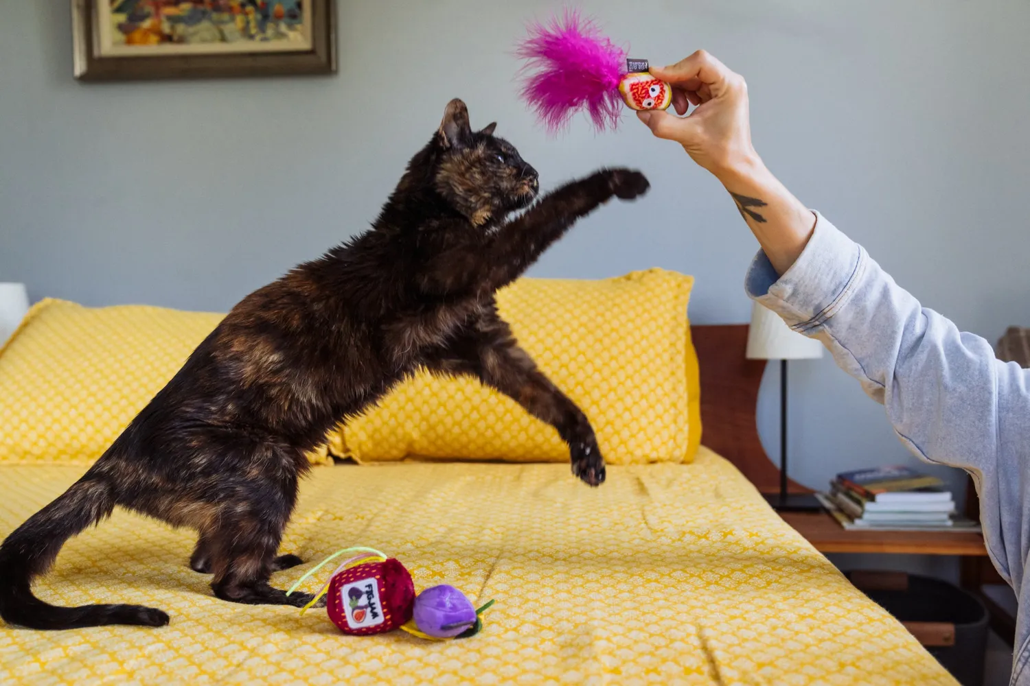P.L.A.Y. Feline Frenzy Fig N Whiskers kattleksak 3-pack kattmynta