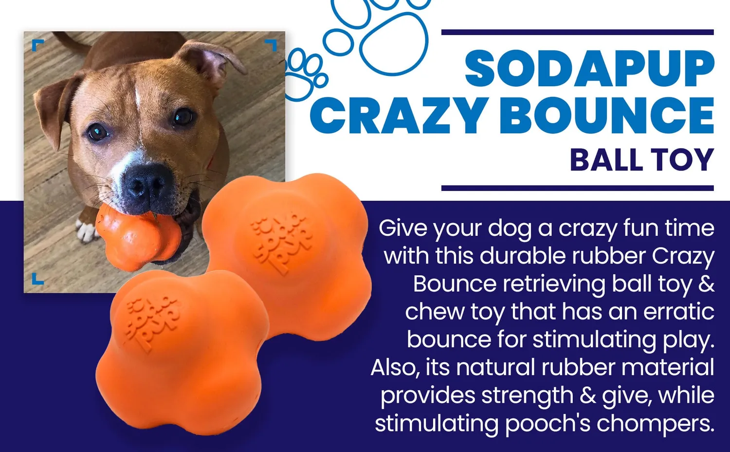 SodaPup Crazy Bounce apportboll large orange studs