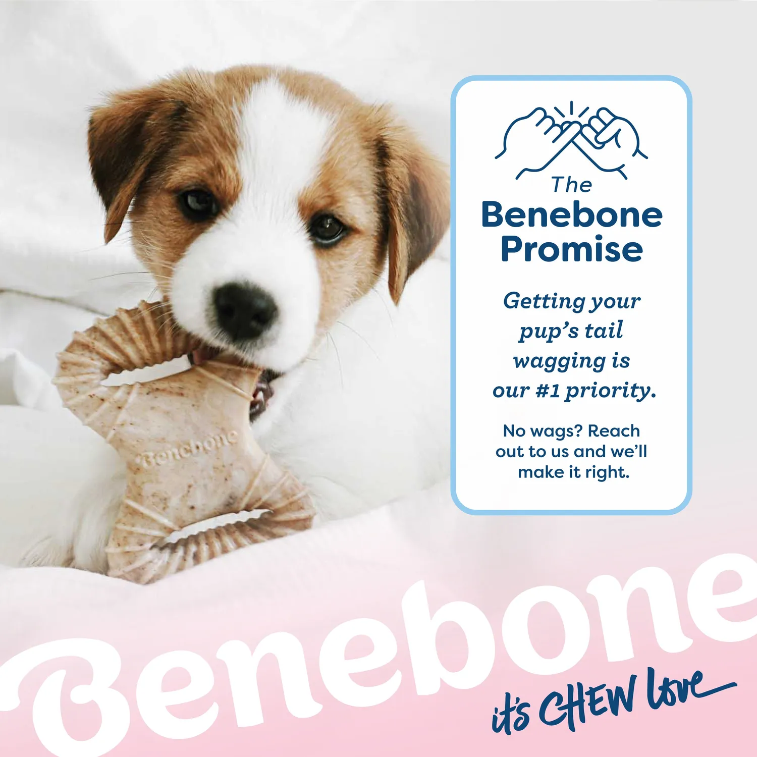 Benebone Puppy Wishbone valptugg bacon