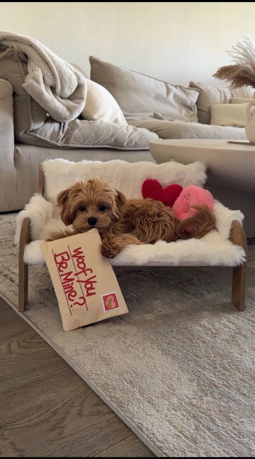 P.L.A.Y. Love Bug Ruv Letter hundleksak brev med pip