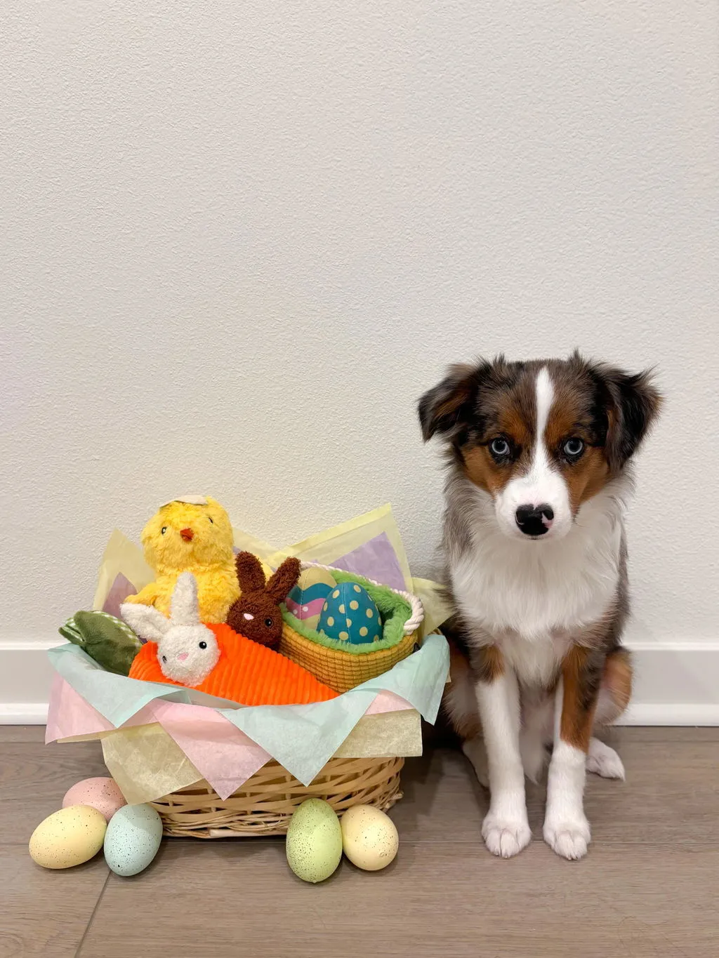 P.L.A.Y. Hippity Hoppity hundleksaksset mjuk 3-delar