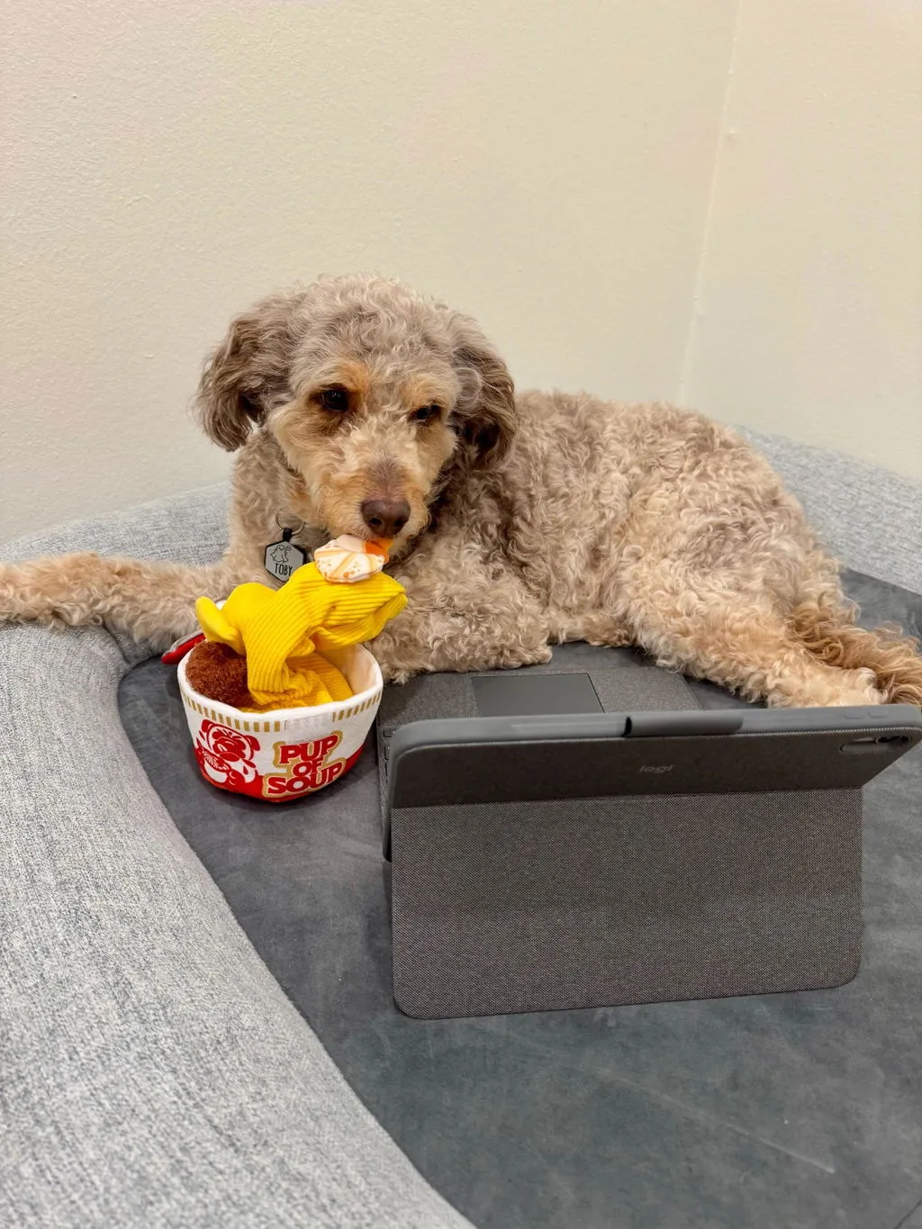 P.L.A.Y. Pup of Soup hundleksak prassel pip