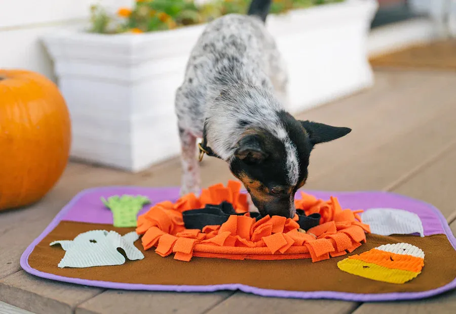 P.L.A.Y. Halloween Snuffle Mat snuffelmatta hund flerfärgad