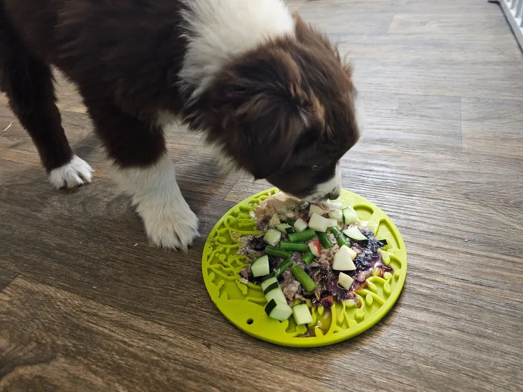 SodaPup Berikning hund 20-pack B-grade eMats eBowls