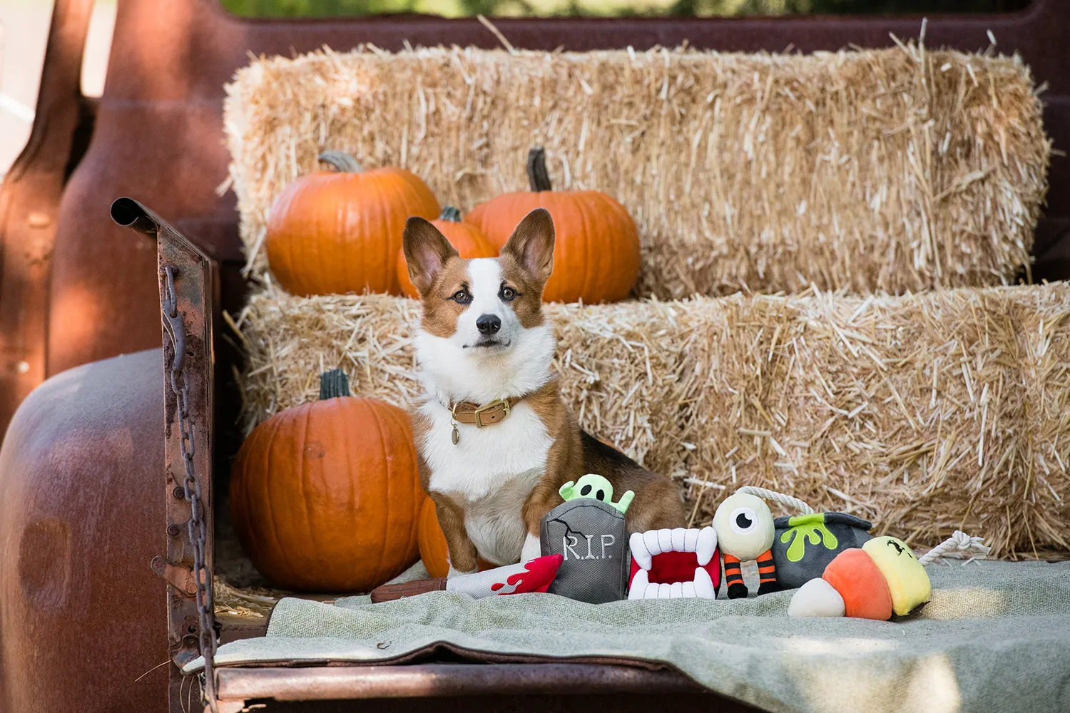 P.L.A.Y. Howling Haunts set mjukisleksak 5-pack pip