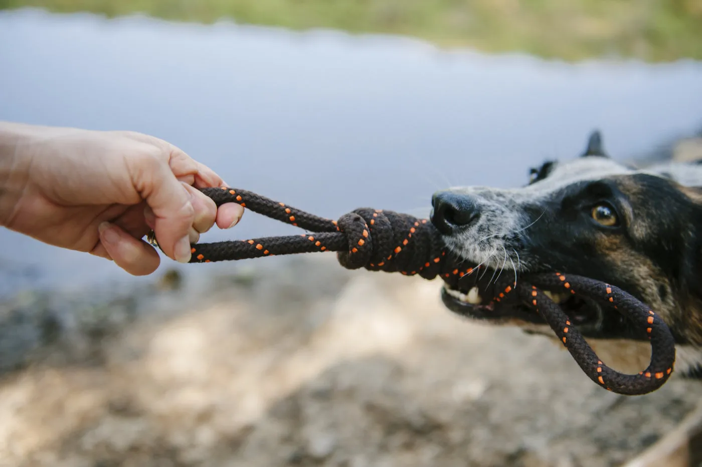 P.L.A.Y. Scout About Tug Rope kampleksak S dragkamp