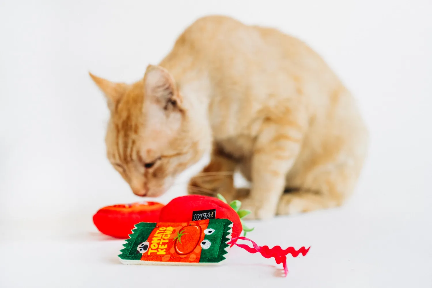 P.L.A.Y. Feline Frenzy Toma-toe Beans kattleksak 3-pack