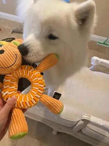 Spunky Pup Wibbleez Fox stretchleksak rak med pip