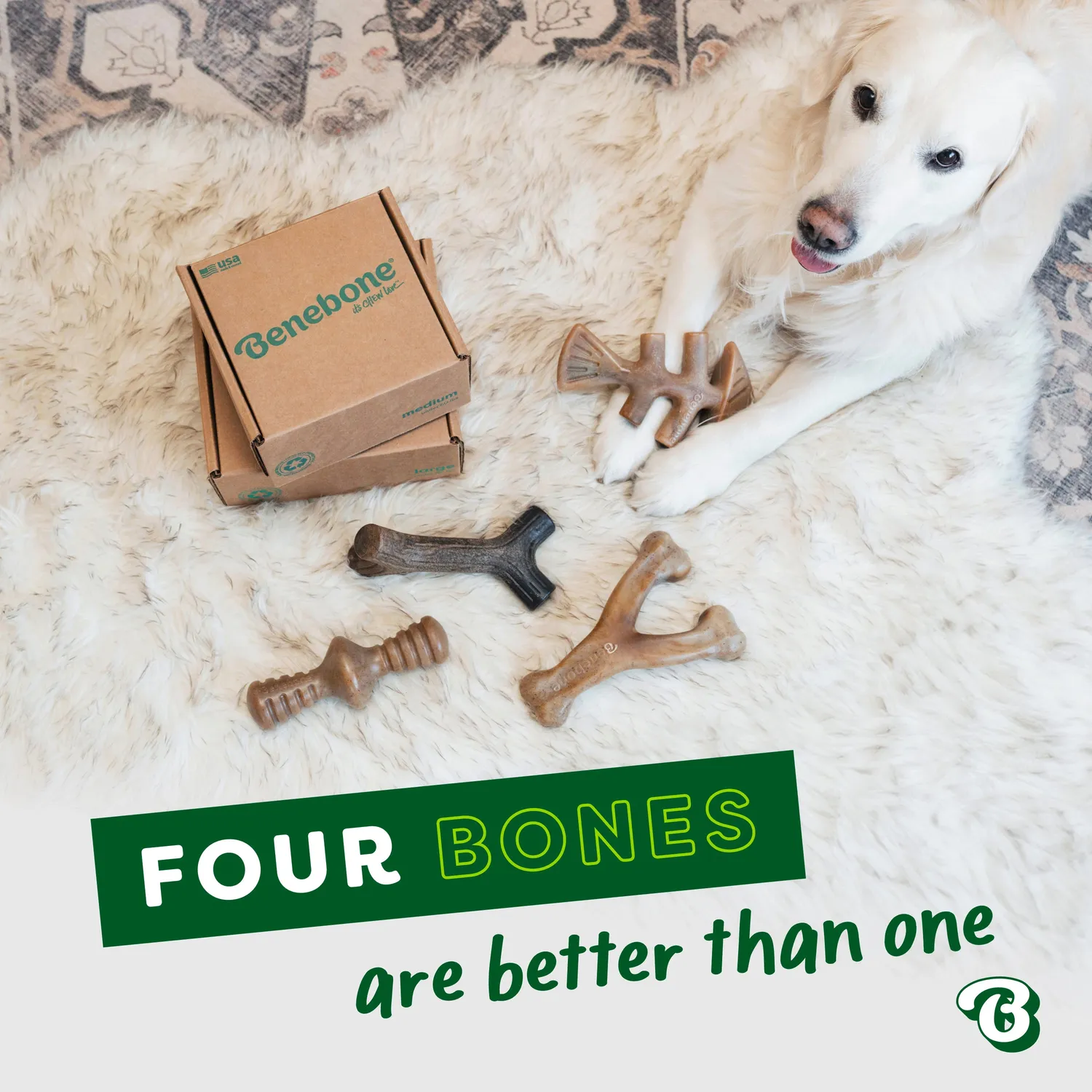 Benebone Limited Edition Venison Chew Collection tuggben 4-pack hjort