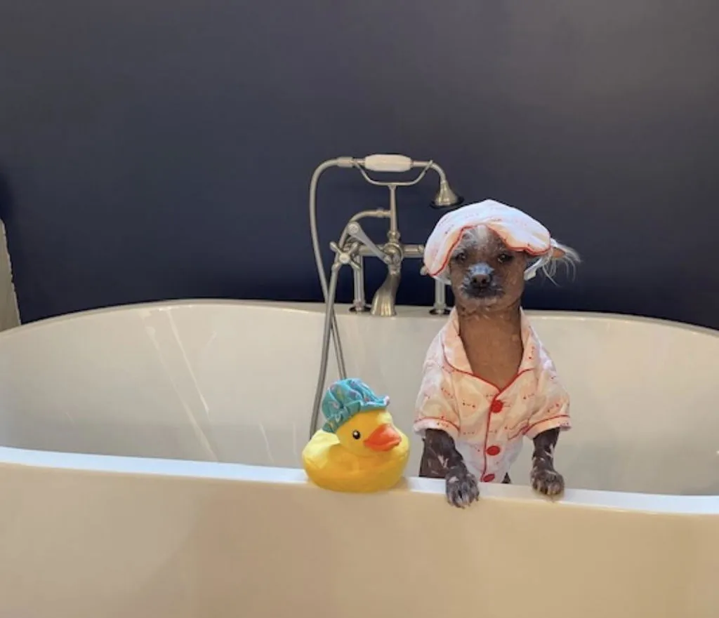 P.L.A.Y. Splish Splash Bark Bristles mjukisleksak med rep