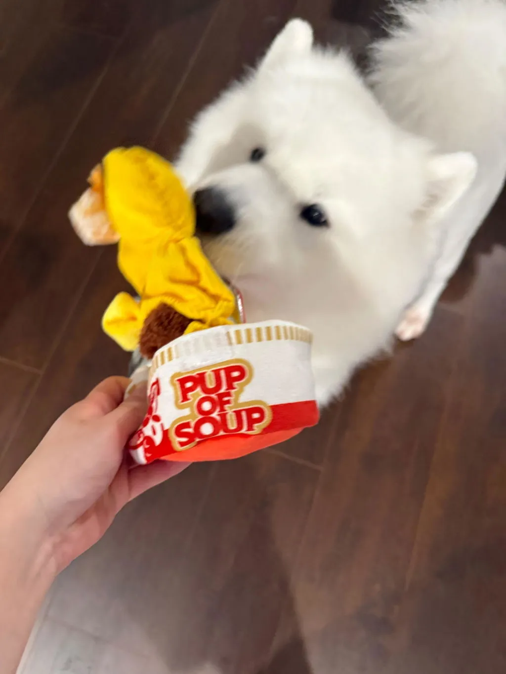 P.L.A.Y. Pup of Soup hundleksak prassel pip