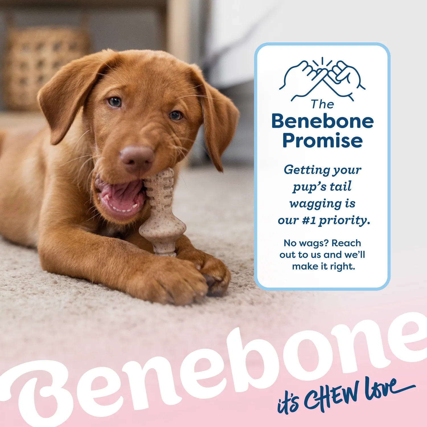 Benebone Puppy Zaggler tuggleksak tiny bacon
