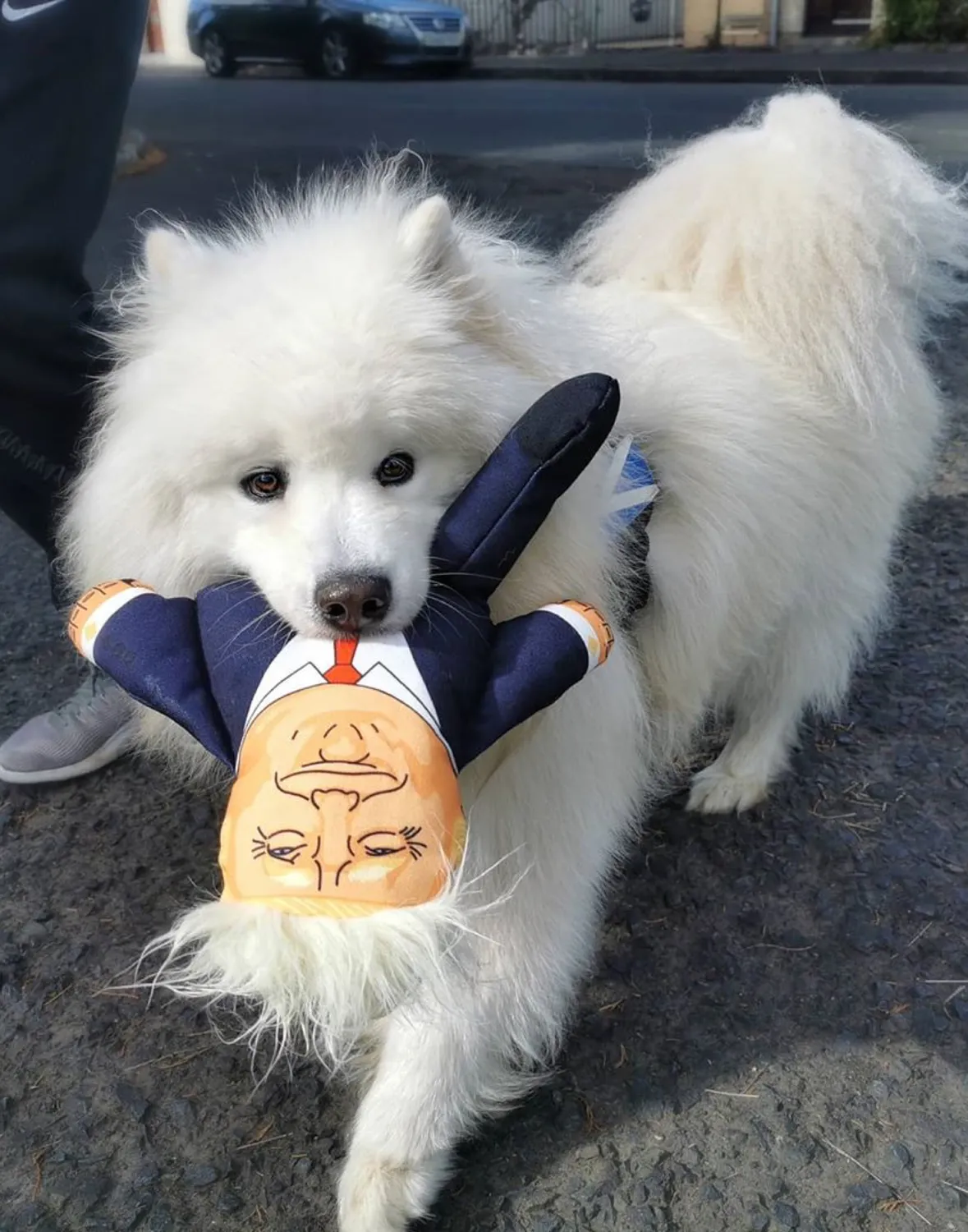 Pet Hates Toys Donald Trump hundleksak Regular pip