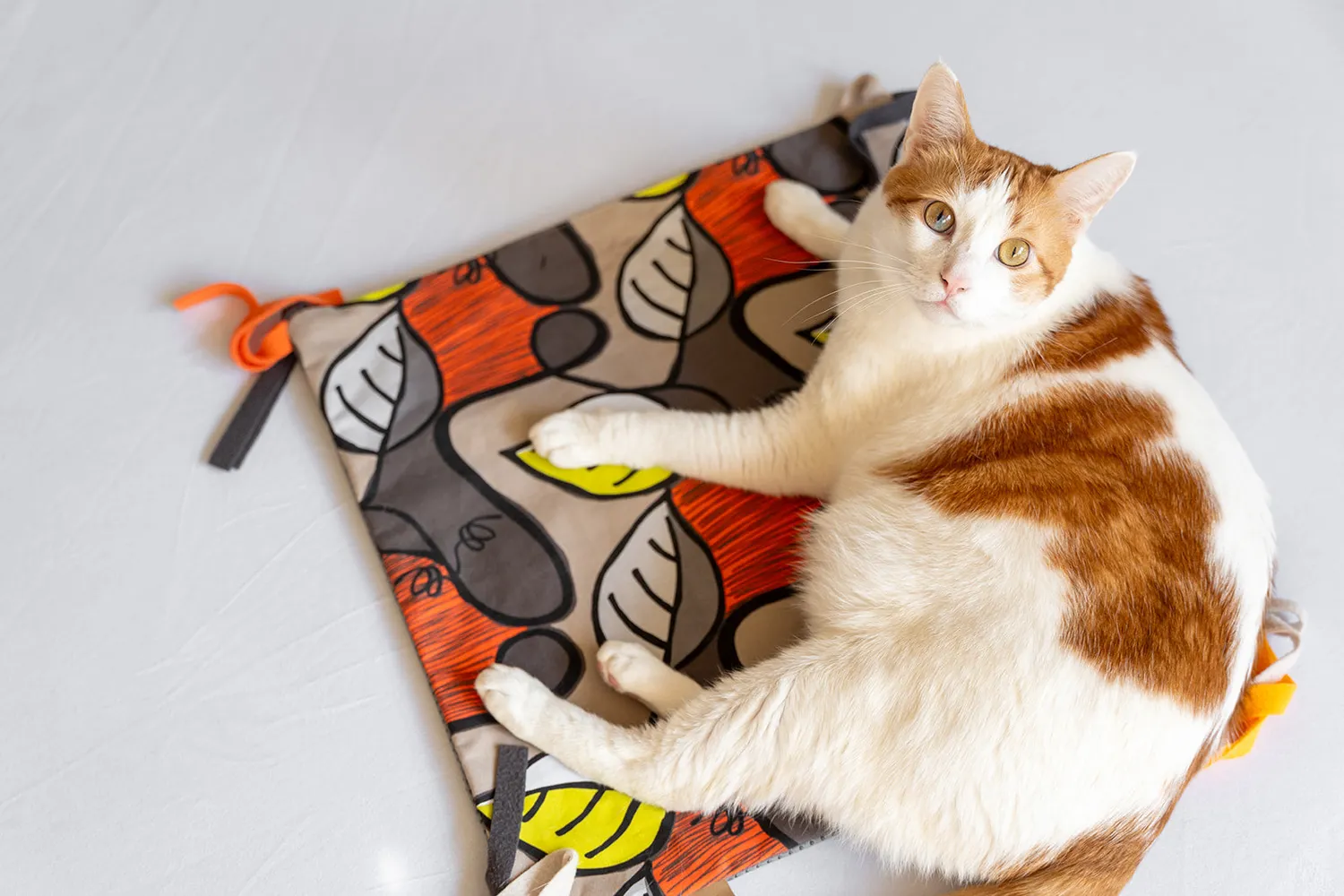 P.L.A.Y. Feline Frenzy Purrfect Playtime kattmatta med kattmynta