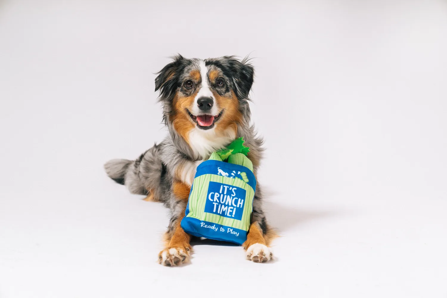 P.L.A.Y. Picked Fresh Crunch Bunch hundleksak 3-i-1 med pip