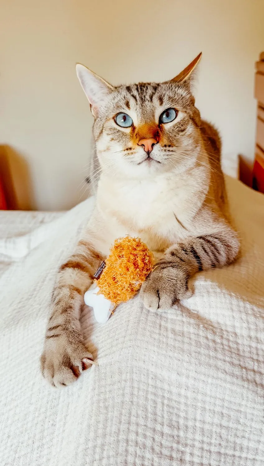 P.L.A.Y. Feline Frenzy Kitty Kreme Donuts kattleksak kattmynta