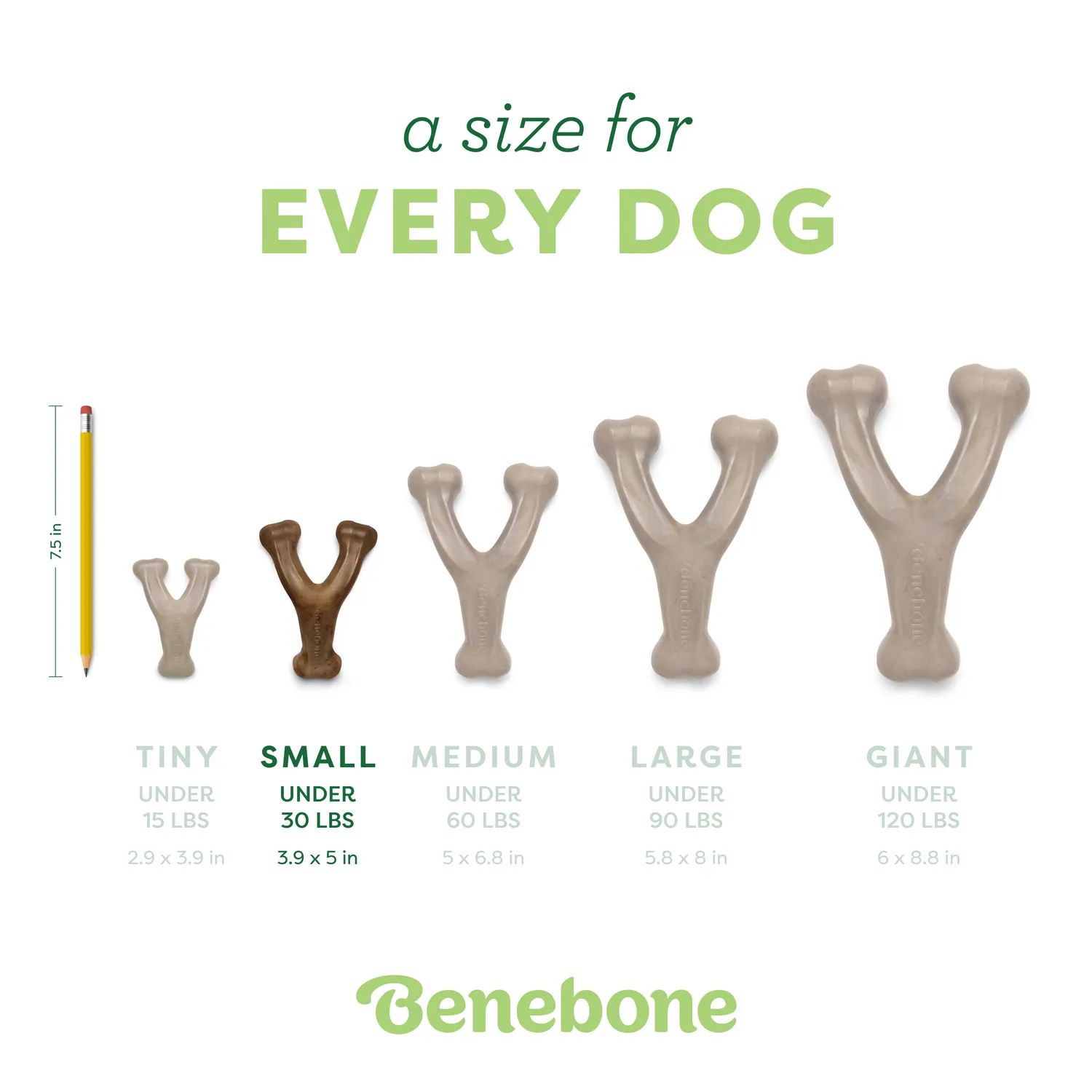 Benebone Wishbone Trio tuggben 3-pack bacon kyckling