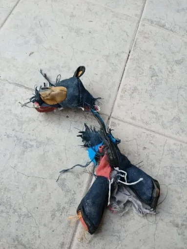 Pawtato Bear mjuk hundleksak med pip