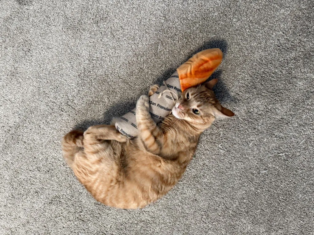 P.L.A.Y. Feline Frenzy Loaf Kicker kattleksak brun