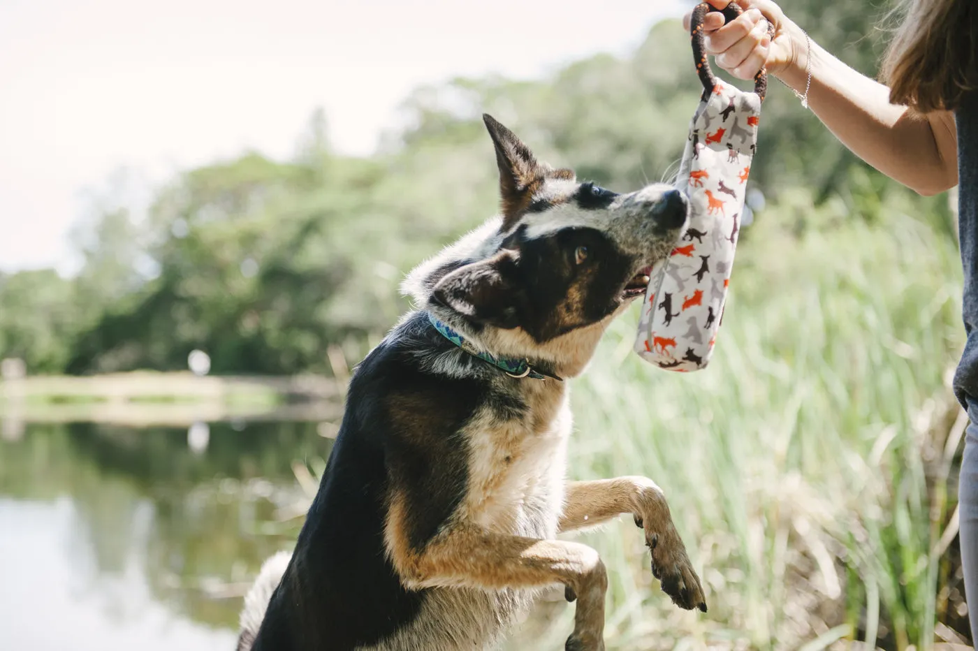 P.L.A.Y. Scout & About Toss and Float hundleksak med reflex