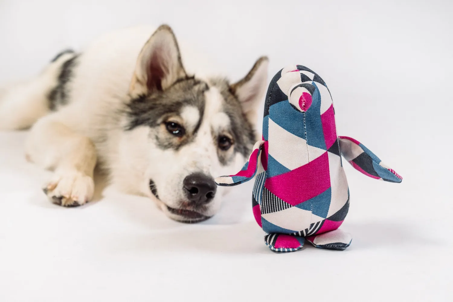 P.L.A.Y. Penguin Pal hundleksak i bomullscanvas medium/large