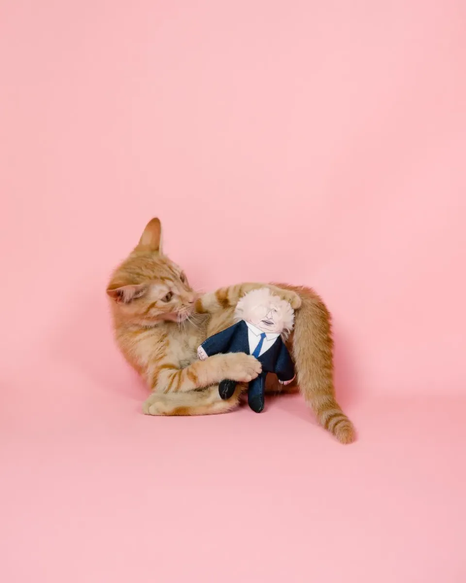 Pet Hates Toys Boris kattleksak med kattmynta