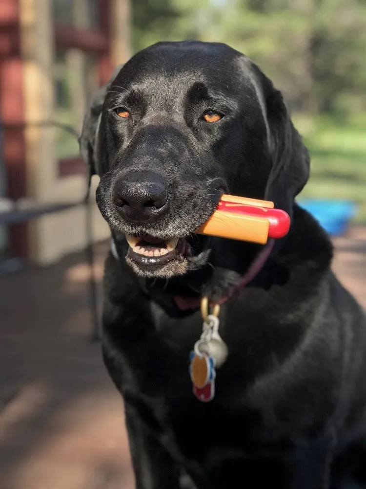 SodaPup Hot Dog nylon tuggleksak för starka tuggare