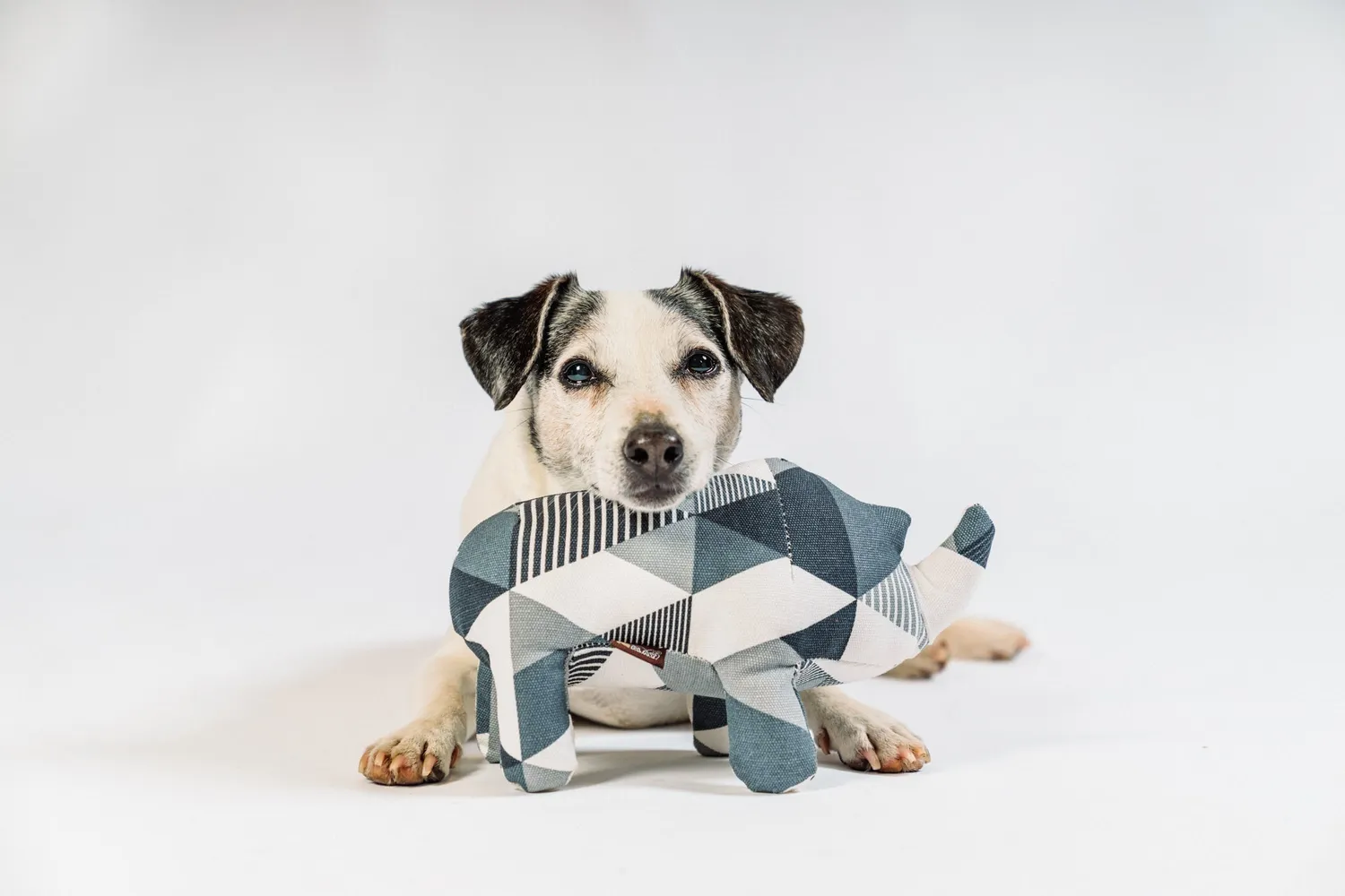 P.L.A.Y. Rhino Pal hundleksak i bomullscanvas medium/large