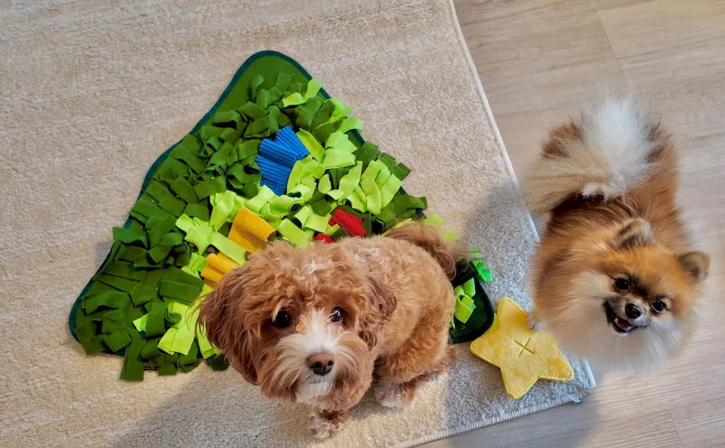 P.L.A.Y. Halloween Snuffle Mat snuffelmatta hund flerfärgad