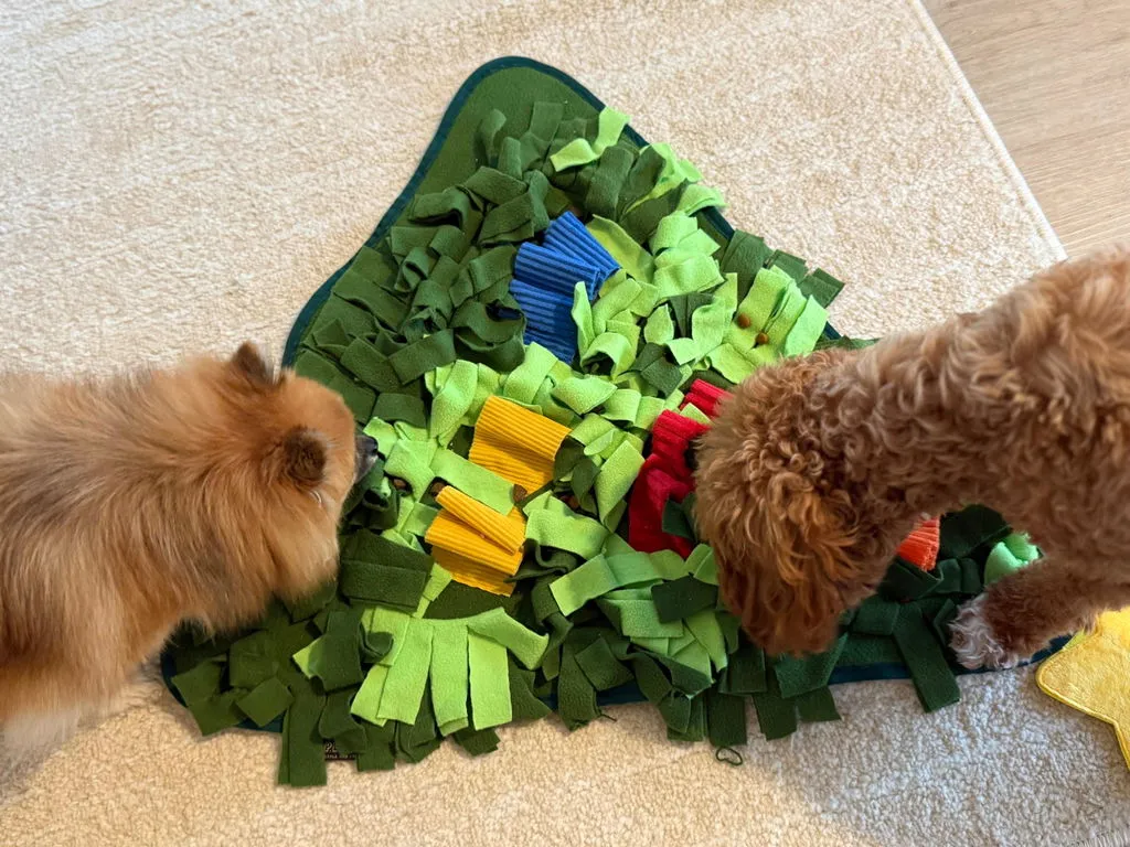 P.L.A.Y. Halloween Snuffle Mat snuffelmatta hund flerfärgad