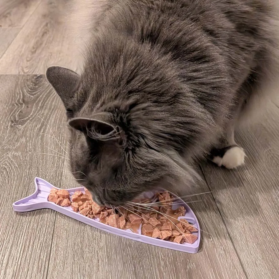 SodaPup Goldfish slickmatta mini lila för katt