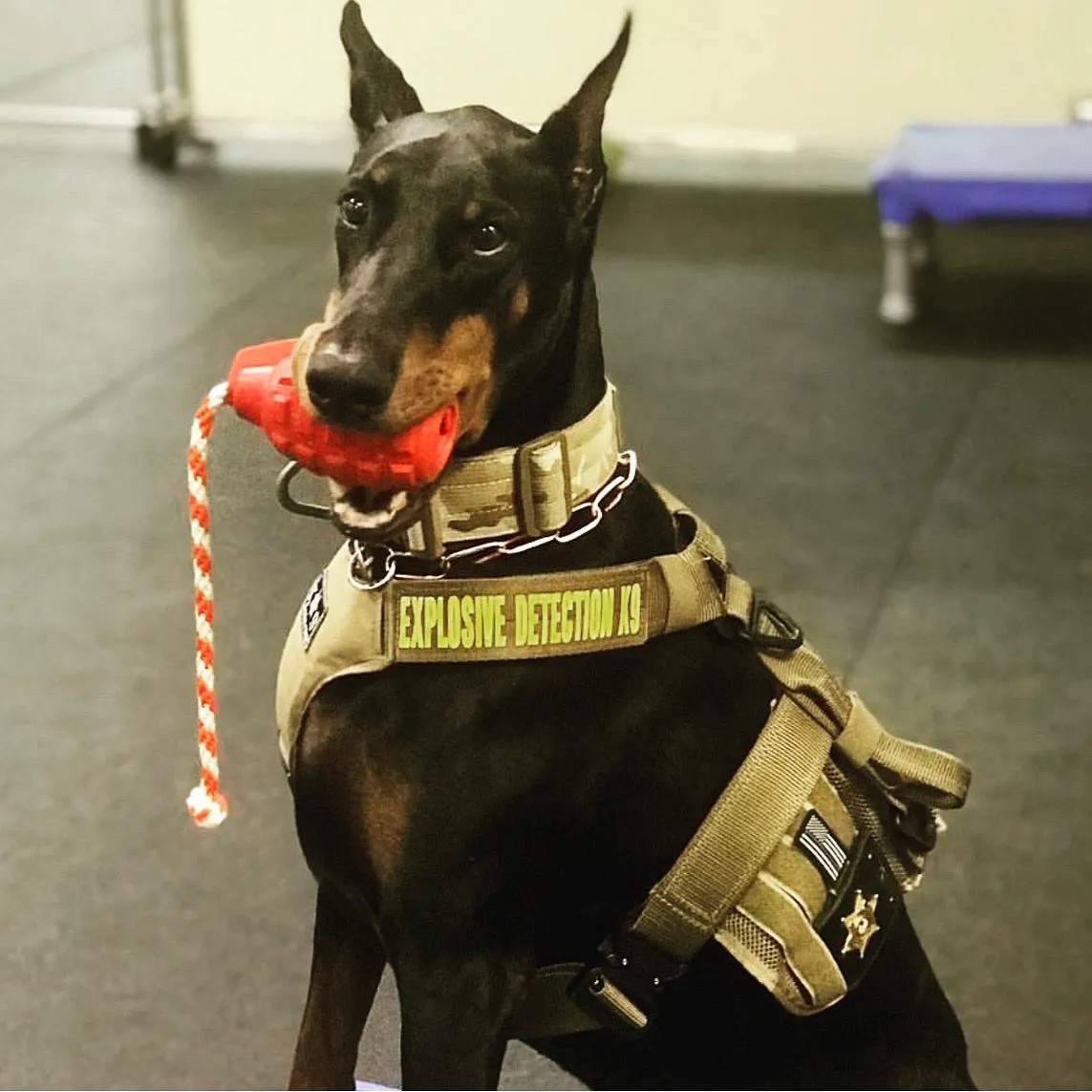 SodaPup USA-K9 Magnum Granat tuggleksak stor svart gummi