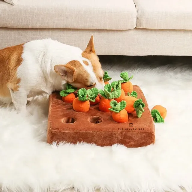 Pawtato Carrot Patch nosaktivering morotsland hundleksak dragkamp
