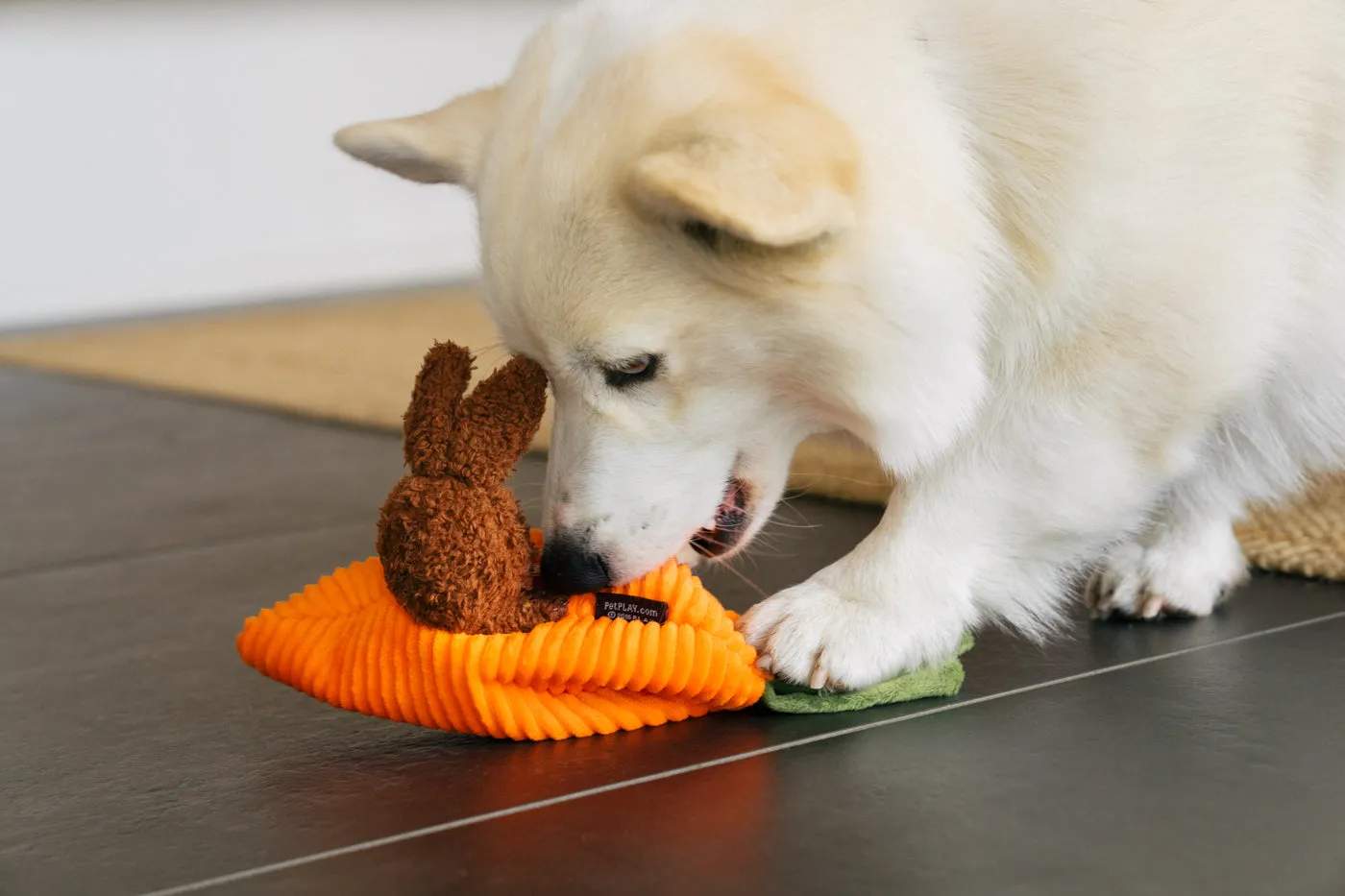 P.L.A.Y. Funny Bunnies hundleksak morot med pip