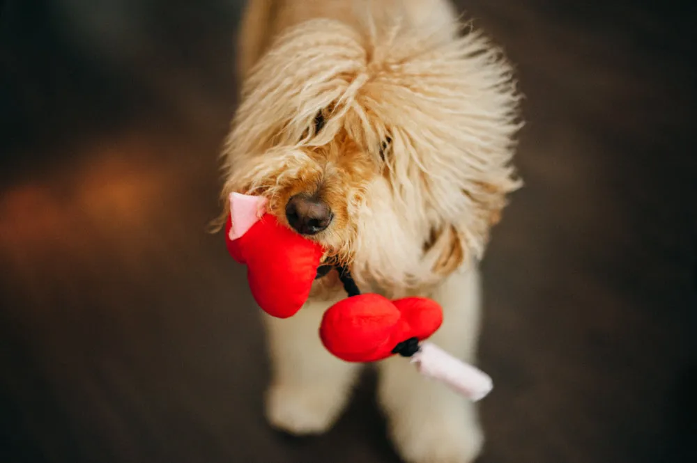 P.L.A.Y. Puppy Love Fur-ever Hearts hundleksak rep pip