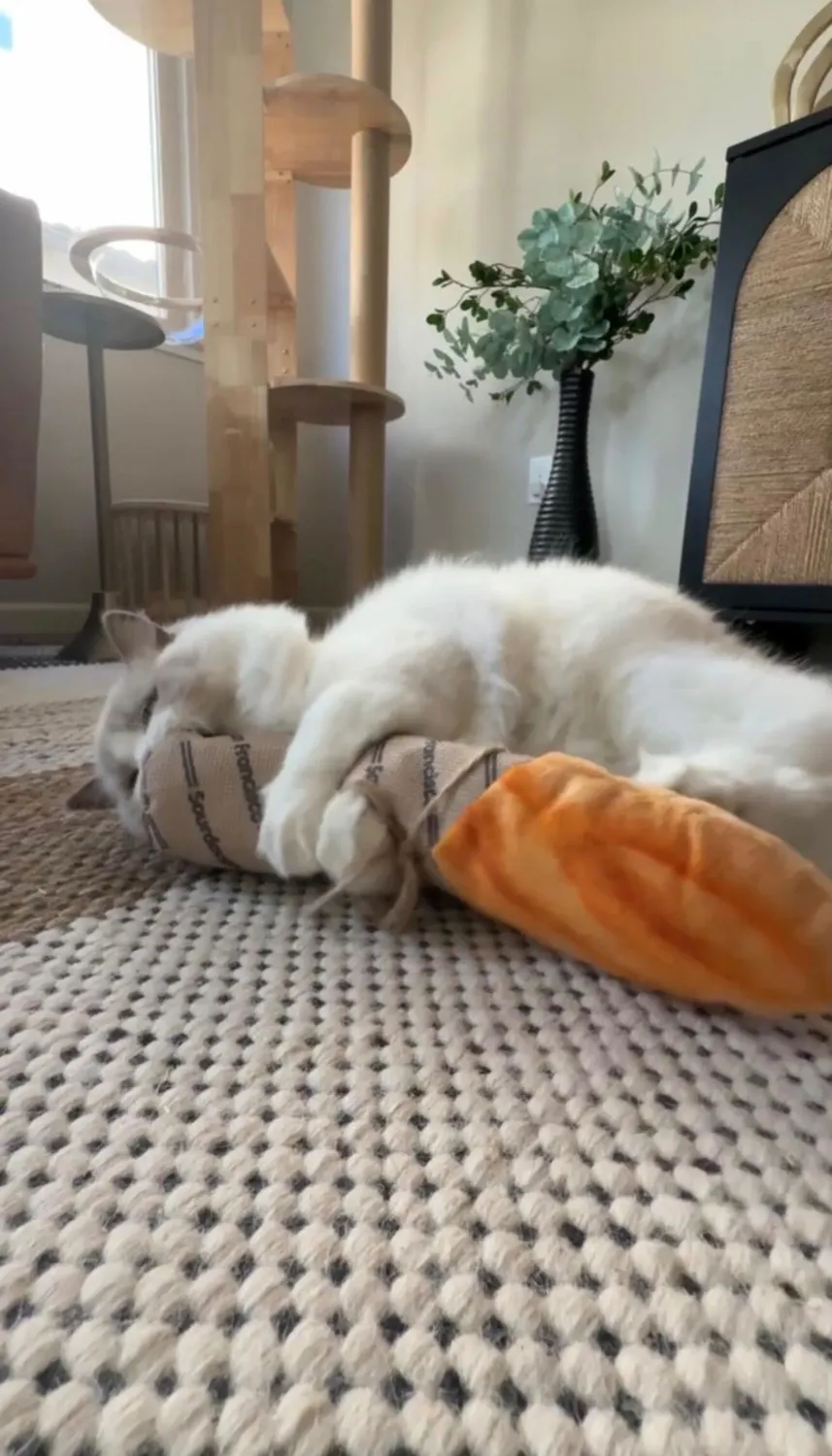 P.L.A.Y. Feline Frenzy Loaf Kicker kattleksak brun