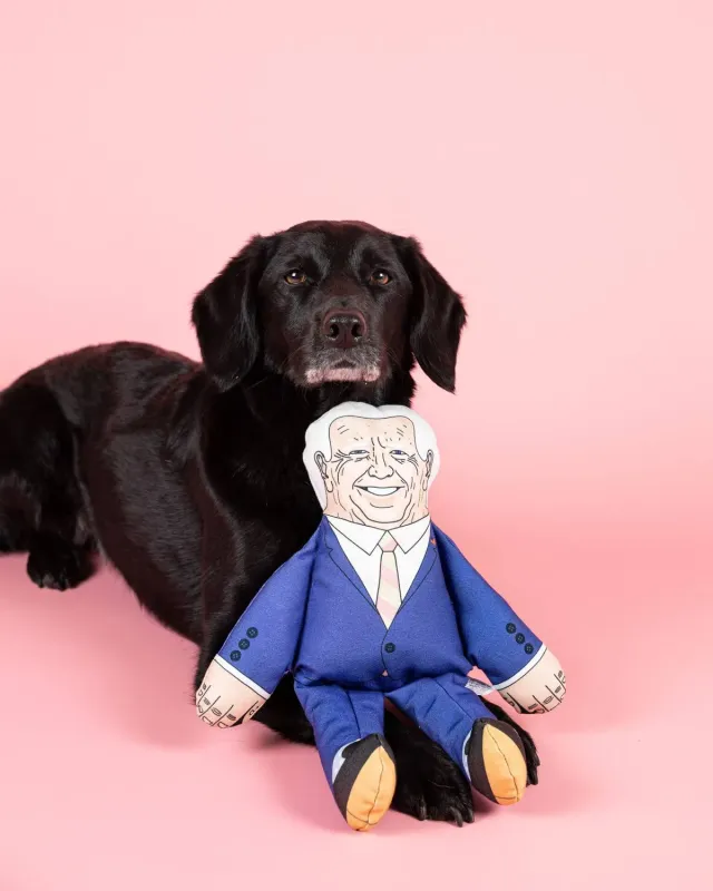 Pet Hates Toys Joe Biden hundleksak regular med pip